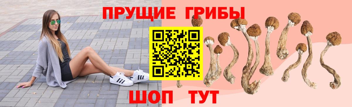 Псилоцибиновые грибы GOLDEN TEACHER  Вход с VPN  Самара 